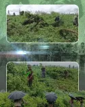 CM Himanta Launches 1.25 Lakh Sapling Drive at Behali Sanctuary
