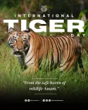 CM Himanta marks Tiger Day, cites Nameri's fourfold tiger rise