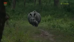 CM Himanta Shares Manas Rhino's Three-Generation Story