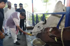CM Himanta vows cow protection at any cost, cites Ramayana