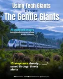 CM Himanta's AI-GPS System Has Saved 151 Elephants in Assam