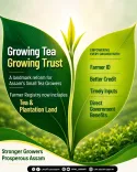 CM Himanta's Assam Brings Tea Land Into Farmer Registry