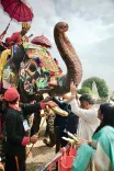 CM Karnataka Celebrates Mysuru Dasara 2026 as Nada Habba