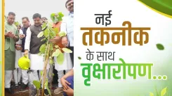 CM Mohan Yadav: 11 Lakh Saplings Planted in Jabalpur in Single Drive