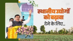 CM Mohan Yadav: ₹24 Crore Factories for Betul, Multai