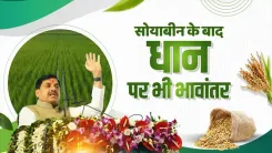 CM Mohan Yadav Extends Bhavantar Yojana to Paddy Farmers