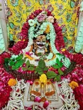 CM Mohan Yadav Offers Prayers at Bhopal's Ancient Barwale Mahadev Temple
