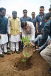 CM Mohan Yadav Plants Mulberry Sapling Under Ek Ped Maa Ke Naam 2.0