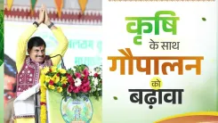 CM Mohan Yadav Pushes Cow Rearing to Boost MP Farmers