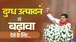 CM Mohan Yadav Pushes Dairy, Fisheries to Boost MP Farmer Income
