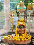 CM Mohan Yadav Seeks Blessings at Chhindwara's Avdhuteshwar Mahadev