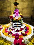 CM Mohan Yadav Seeks Blessings of Riddhanath Mahadev for MP