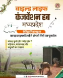 CM MP Office Announces Wild Buffalo Rehab at Kanha Reserve