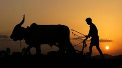 CM Naidu Greets Farmers on Eruvaka Punnami, Backs Natural Farming
