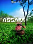 CM Office Assam promotes tourism with #AwesomeAssam campaign