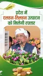 CM Sai Announces Rs 15,000 Input Aid for Pulses, Oilseeds in Chhattisgarh