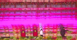 CM Sai Pins Bastar Dussehra Live from Jagdalpur
