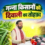 CM Saini fixes sugarcane price at ₹430, ₹450 per quintal for Haryana farmers