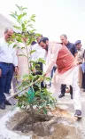 CM Saini Plants Trees in Kurukshetra Under Modi's 'Ek Ped Maa Ke Naam'