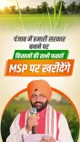CM Saini Promises MSP on All Crops if BJP Wins Punjab