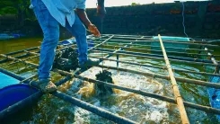 CM Sawant Highlights Goa Fish Farmer's PMMSY Success Story