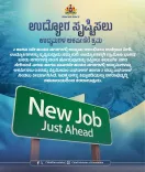 CM Siddaramaiah Govt Pledges Jobs Push in Karnataka's Tier-2, Tier-3 Cities