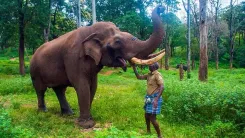 What New Developments Are Happening at TN's Second Mahout Village in Anamalai Tiger Reserve?
