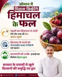 CM Sukhu Hails First Himachal Cherry-Plum Export to Oman