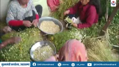 CM Uttarakhand: Aromatic Plant Cluster Empowers Rural Women