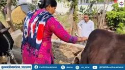 CM Uttarakhand's Livestock Mission Eases Rural Path to Self-Reliance