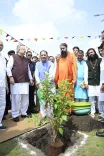 CM Vishnu Deo Sai Plants Parijat Sapling on Hareli Tihar