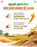 CM Yogi Flags UP's 18% Farm Growth, ₹1.03 Lakh Cr Paddy Payout