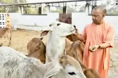 सीएम योगी के नेतृत्व में 8 साल में प्रदेश ने विकास की नई लकीर खींची, गोसेवा से बन रहे आत्मनिर्भर