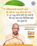 CM Yogi: Malihabad Dasheri Mango Gets GI Tag