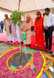 CM Yogi Plants Sapling in Chitrakoot Under 'Ek Ped Maa Ke Naam'