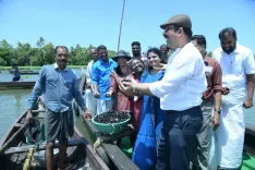 CMFRI's Vembanad black clam project yields 40 tonnes from 5-tonne seed stock
