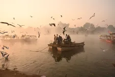 Is the cold wave in MP causing temperatures to plunge to 1.8 degrees Celsius?