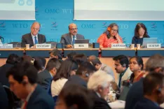 India's exports hit record $863 bn; Commerce Secretary flags resilient growth at WTO review