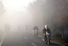 What Factors Led to the Surge in Commercial Vehicle and 2-Wheeler Sales in October?