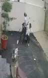Pitbull attacks couple viewing rental home in Patiala; CCTV footage sparks safety debate