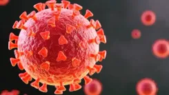 Covid-19 virus protein triggers immune attack on healthy cells: Study