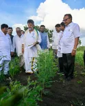 Bagalkot drought: Karnataka CM Shivakumar surveys crop failure across 4 taluks