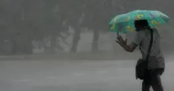 Cyclone Ditwah: Death toll in Sri Lanka climbs to 123, rescue efforts intensify   