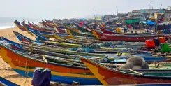 What is the Impact of Cyclone Montha in Southern Odisha?