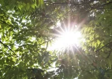 सोल में इस साल की पहली पूर्ण हीट वेव एडवाइजरी जारी, 33°C से ऊपर तापमान का अनुमान