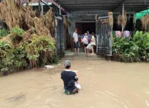 What is the Current Death Toll from Flooding in Vietnam?