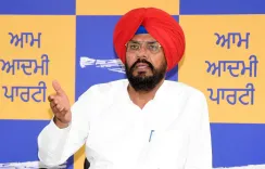 AAP Punjab slams Deepender Hooda over Sajjan Kumar 'role model' remark