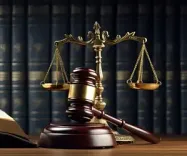 Delhi court orders FIR against journalist Karishma Aziz over Hindu-targeted posts