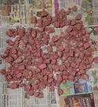 Delhi Police bust heroin network, seize 7 kg drugs worth ₹50 crore; 4 held