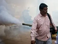 Dengue cases surge in Tamil Nadu: 16,577 infections, 9 deaths by Sept 15